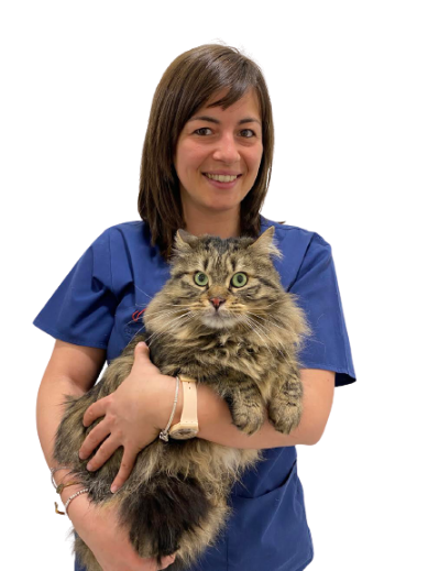 Dott.ssa Sara Carbone  Medico Chirurgo Veterinario