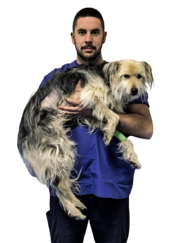 Dott. Matteo Brambilla
Medico Chirurgo Veterinario